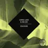 Chris Lake & Nelski - Colours - Single